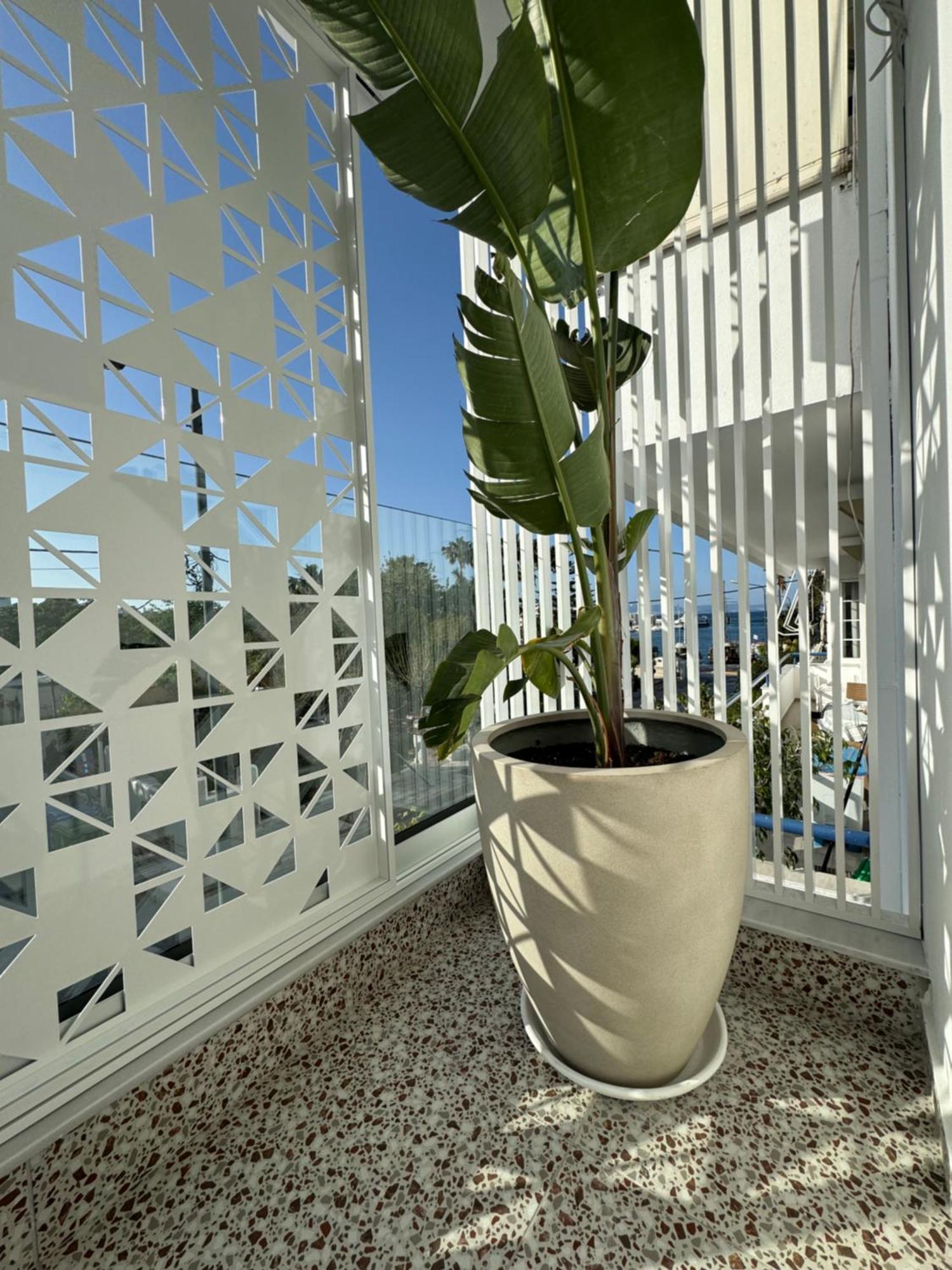העיירה קוס Catherine Hotel מראה חיצוני תמונה