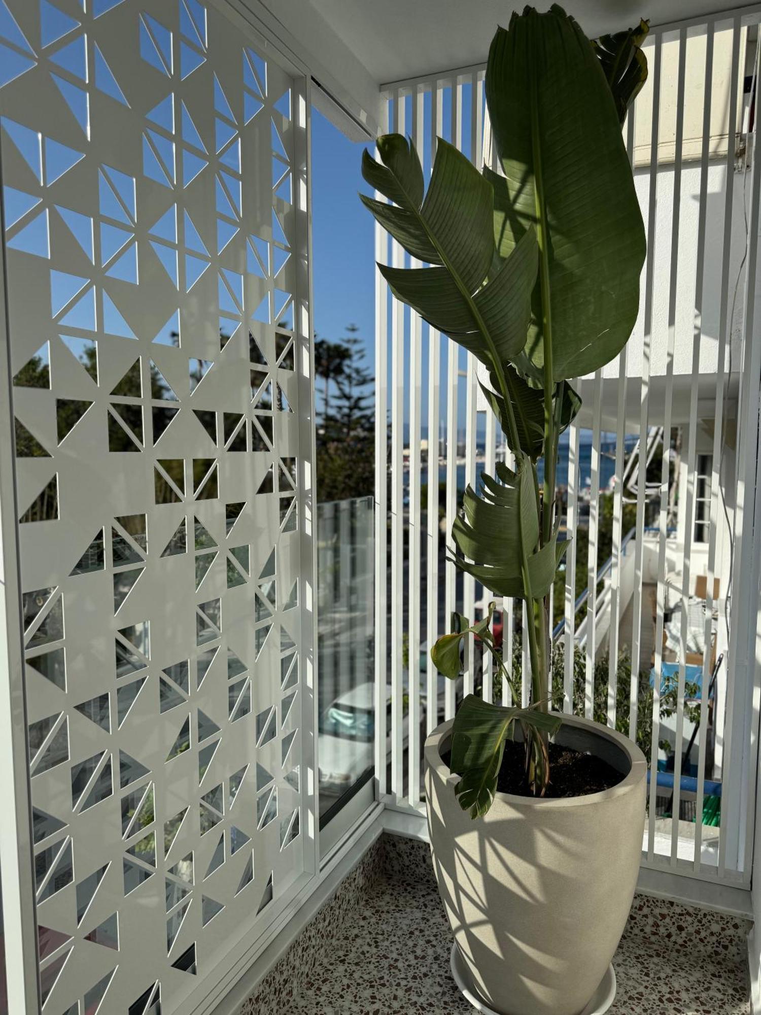 העיירה קוס Catherine Hotel מראה חיצוני תמונה