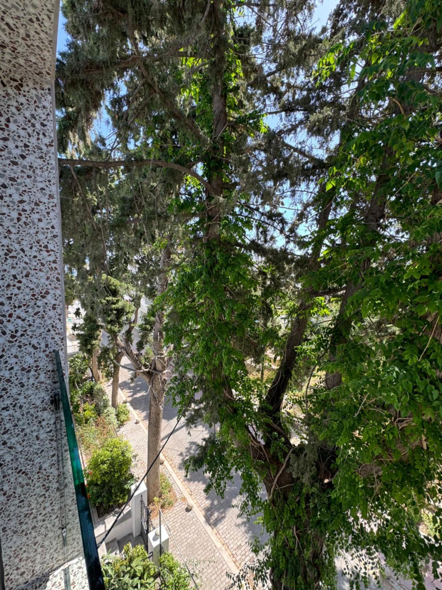העיירה קוס Catherine Hotel מראה חיצוני תמונה